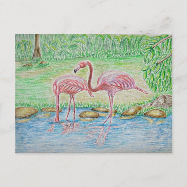 Flamingos Postcard (Front)