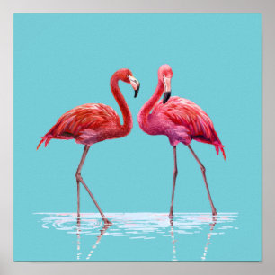 Flamingos Poster