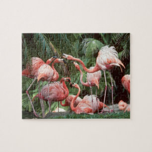 Flamingos Puzzle