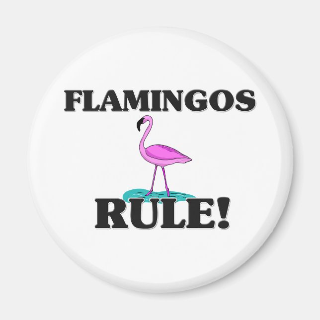 FLAMINGOS Rule! Magnet (Front)