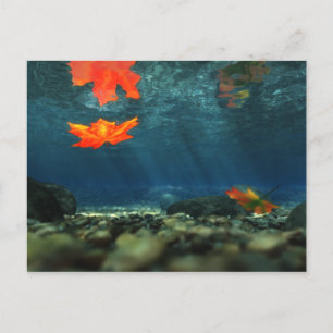 Flamme dans la carte postale de l'eau