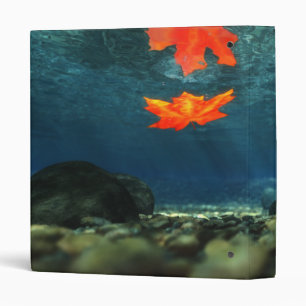 Flamme dans le Classeur d'eau