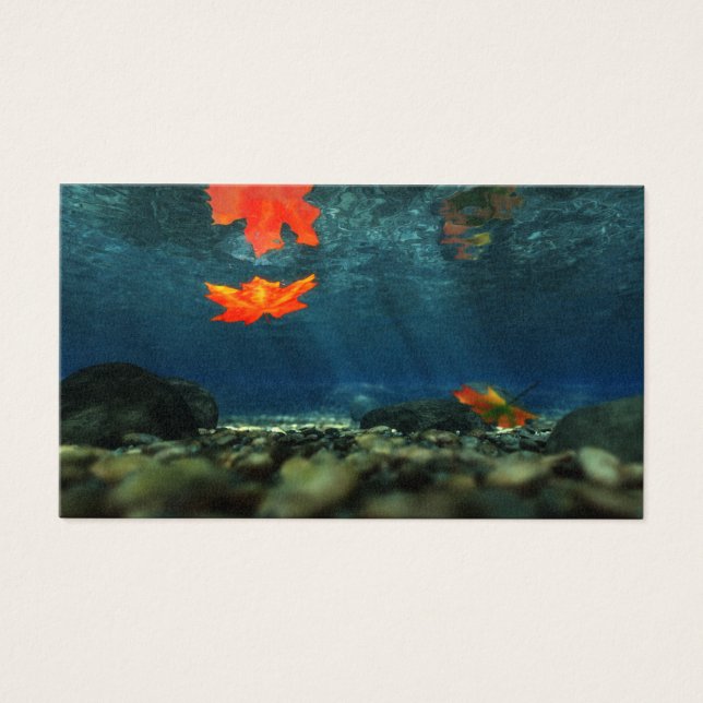 Flamme dans les Signets de l'eau (Devant)