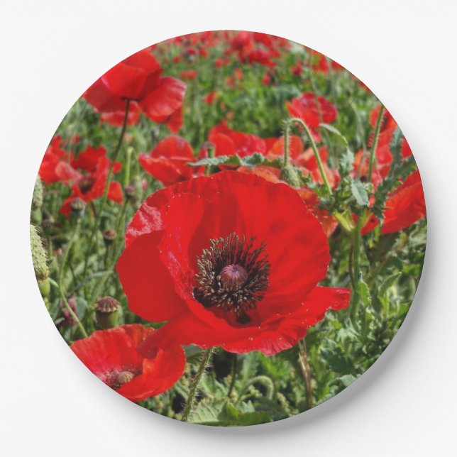 Flanders Poppy Paper Plate (Front)