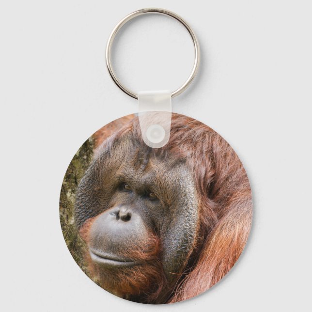 Flanged male orangutan keychain (Front)