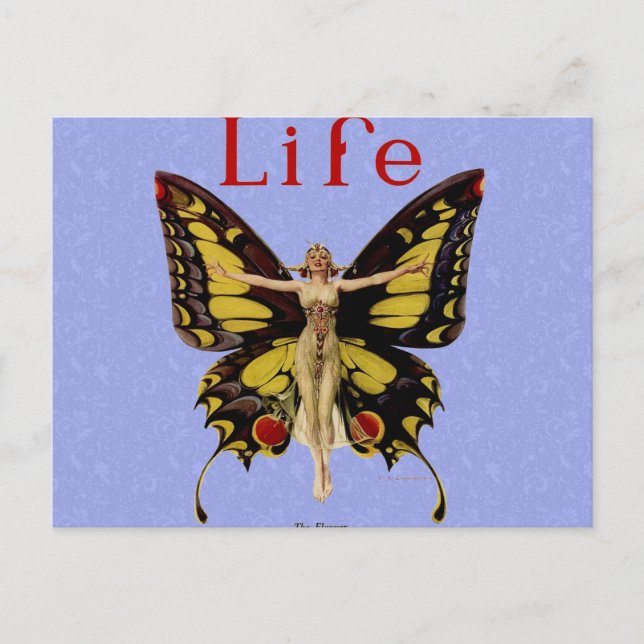 Flapper Butterfly Flying Woman Illustration Postcard (Front)