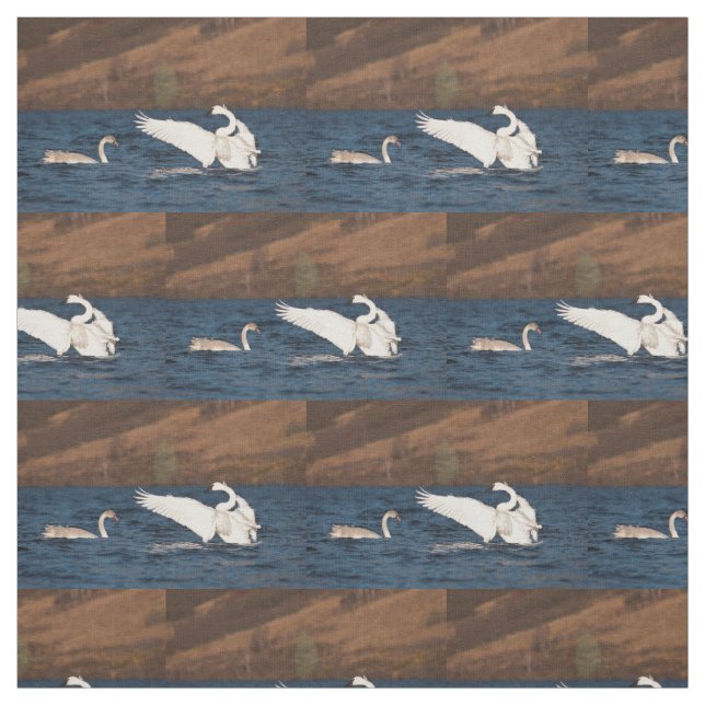 Flapping Swan Fabric (Swatch)