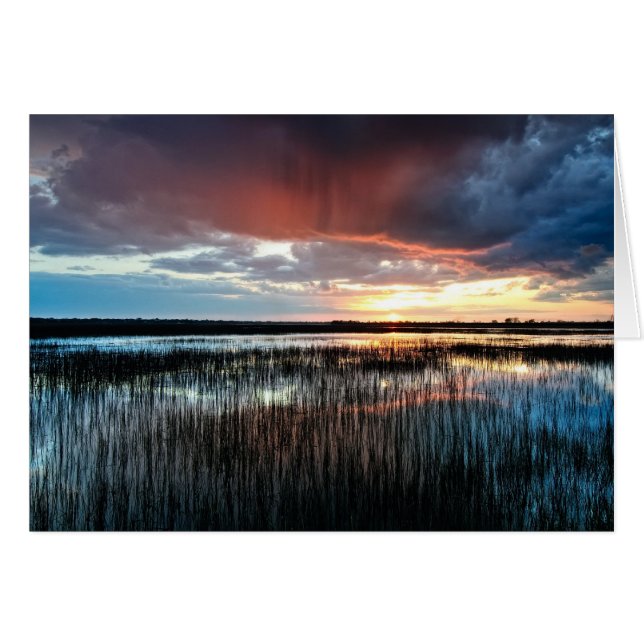 Flash (Front Horizontal)