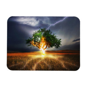 flash-845848 FANTASY LIGHTNING STRIKE TREE BACKGRO Magnet