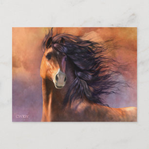 Flash Postcard