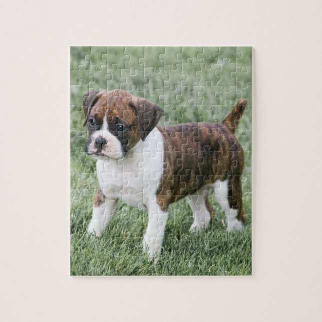 Flashy Brindle Boxer Puppy - Boxer Dog Puzzle (Vertical)