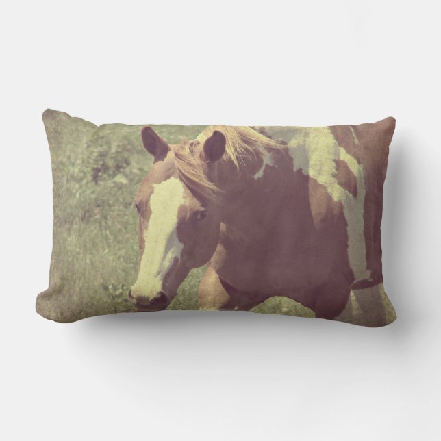 Flashy Lumbar Pillow (Front)