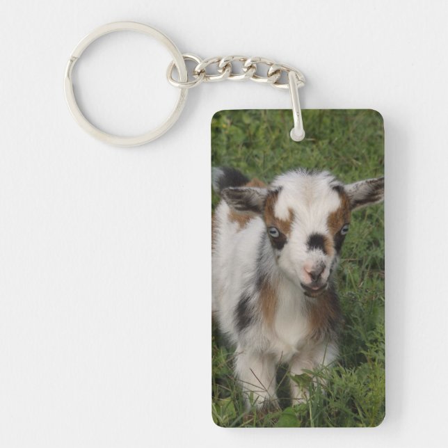 Flashy Nigerian Dwarf Dairy Goat Kid Keychain (Front)
