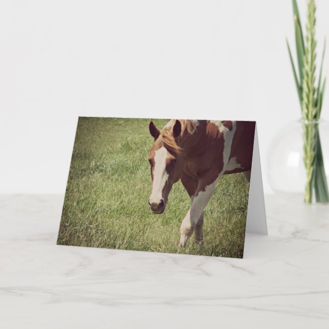 Flashy Paint Horse All Occasions  Card (Front)