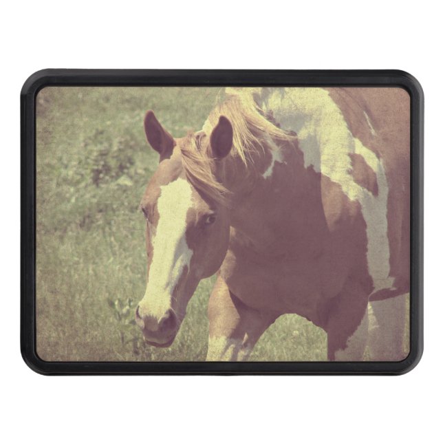 Flashy Trailer Hitch Cover (Front)