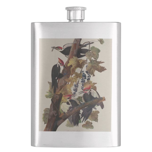 Flasque Audubon Peinture d'Oiseaux Pic Pilé (devant)