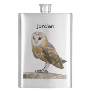Flasque Barn Owl