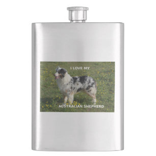Flasque berger australien blue merle amour w photo