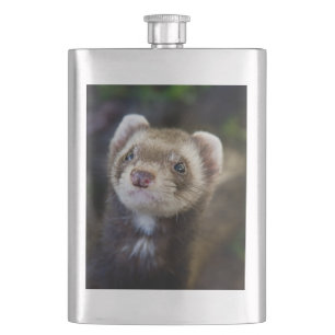 Flasque Furet
