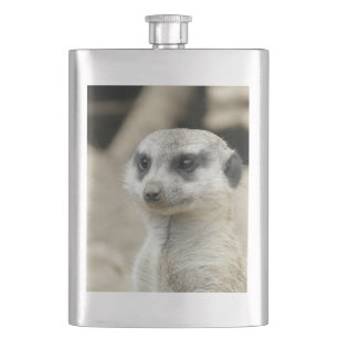 Flasque Meerkat