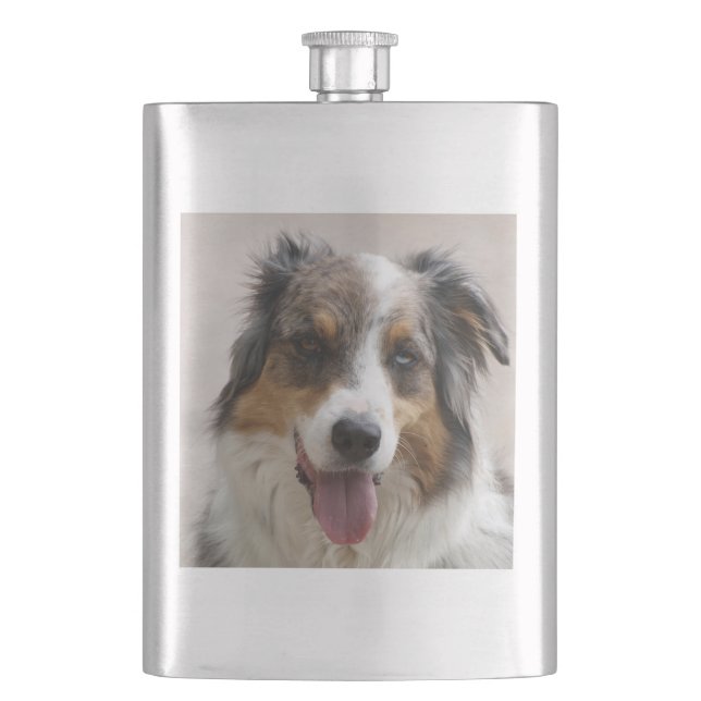 Flasque merle aussie (devant)
