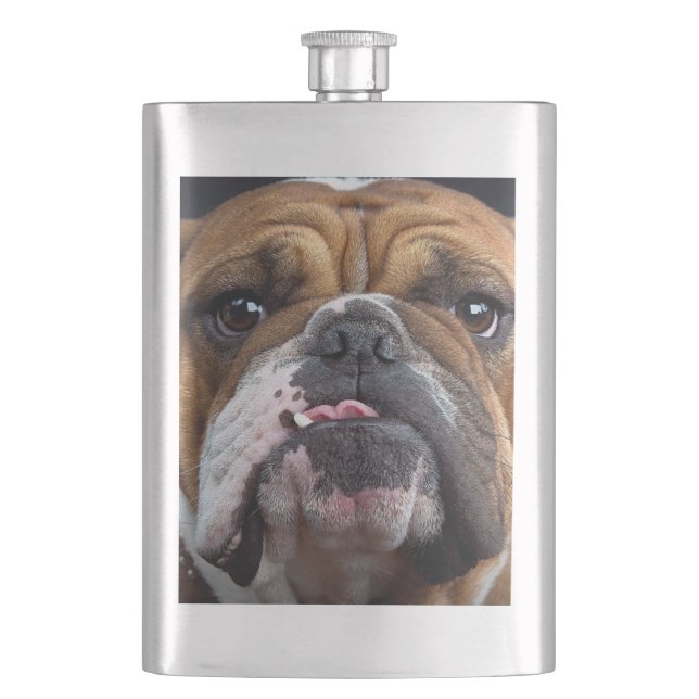 Flasque Oreillers à lancer de Bulldog anglais (devant)