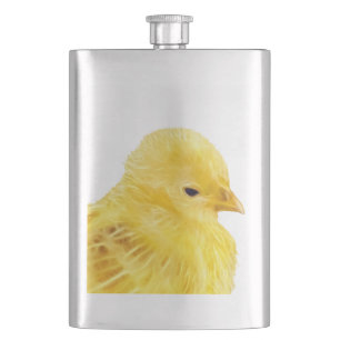 Flasque Poussin jaune mignon d'animal de bébé