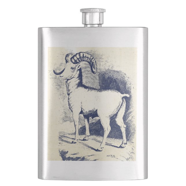 Flasque SHEEP vintage GRANDE CORNE (devant)