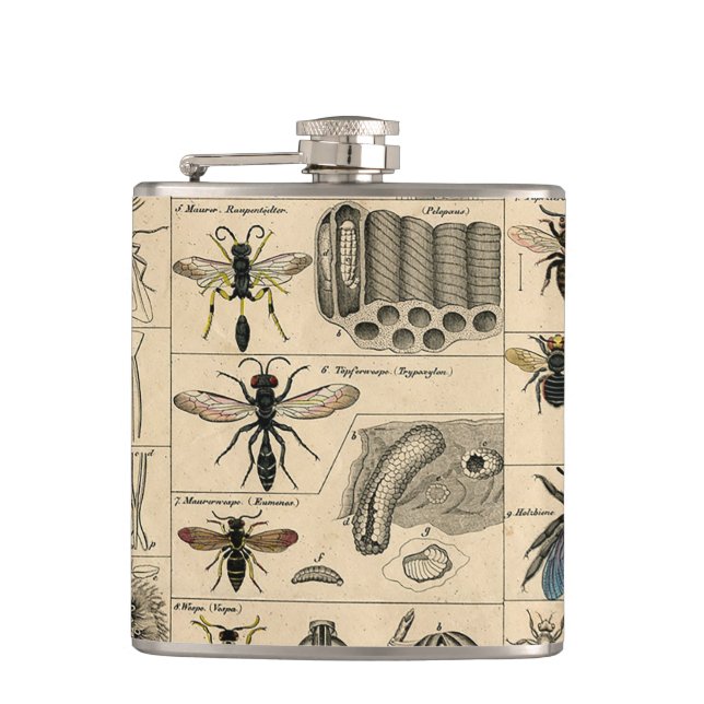 Flasques Abeille Insecte Bug Wasp Histoire naturelle abeill (Devant)