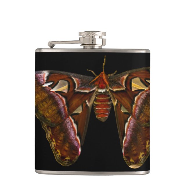 Flasques Atlas Moth (Devant)