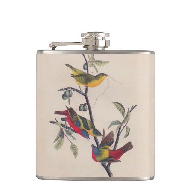 Flasques Audubon Peint Bunting Bird Wildlife (Devant)