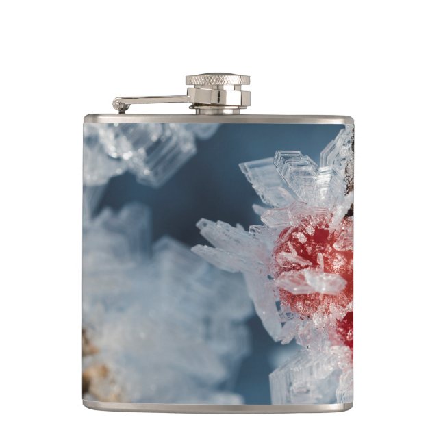 Flasques Berry (Devant)