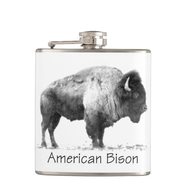 Flasques Bison américain (Devant)