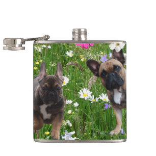 Flasques Bouledogue français Bouledogue français Happy Day