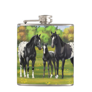 Flasques Chevaux Appaloosa Noir Dans Les Pâturages D'Été