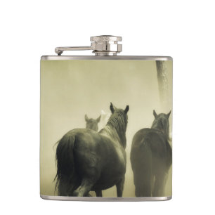 Flasques Chevaux sauvages
