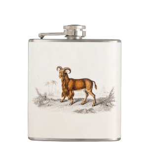 Flasques Chèvre barbue vintage dessinant de rétros chèvres