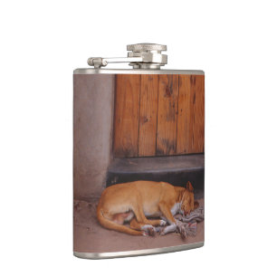 Flasques Chien au repos