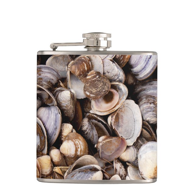 Flasques Coques dans la boue (Devant)