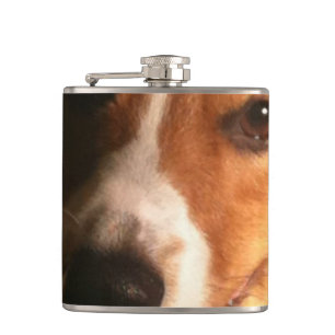 Flasques corgi-9