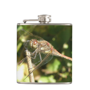 Flasques Dragonfly sur une fiole de brindilles