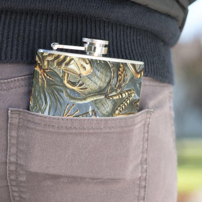 Flasques Ernst Haeckel variété de grenouilles exotiques : B (En situation)