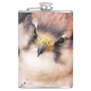 FLASQUES FALCON