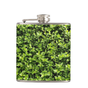 Flasques Feuilles verts