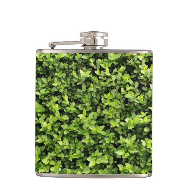 Flasques Feuilles verts (Devant)