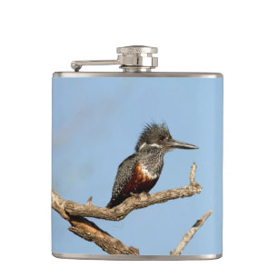Flasques Giant Kingfisher