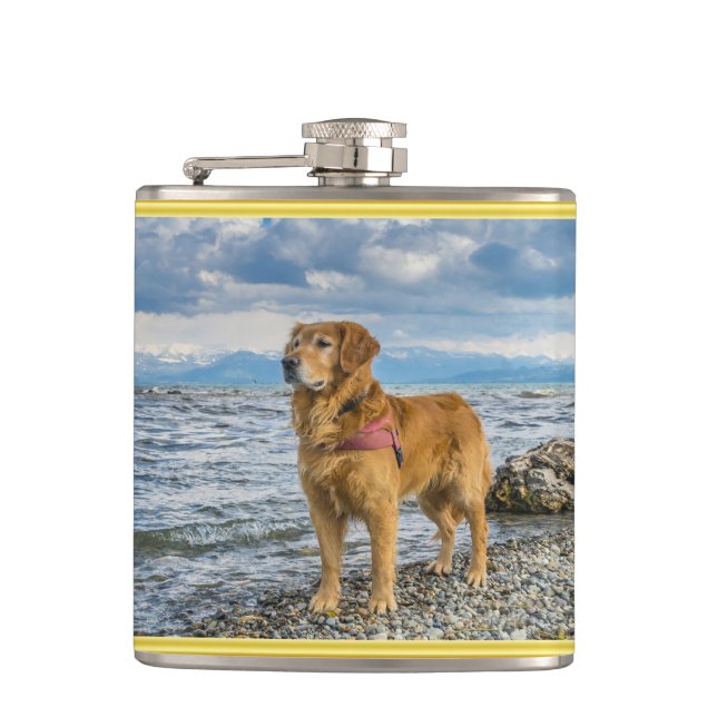 Flasques Golden retriever se tenant sur l'océan bleu (Devant)