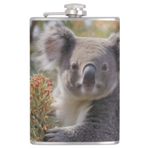 Flasques Grevillea Koala Bear,