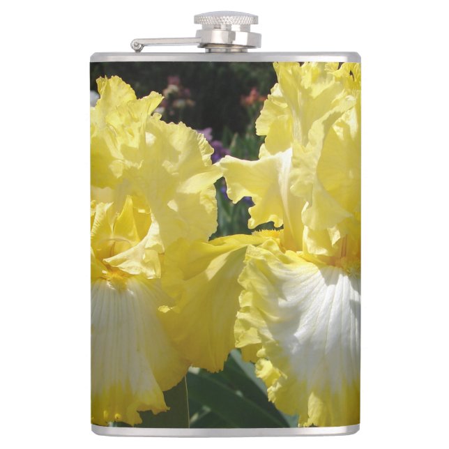 Flasques Iris Iris Iris Jaune Iris Fleurs florales (Devant)