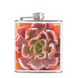 Flasques Jardin superbe Les tons roses Succulents Art réali